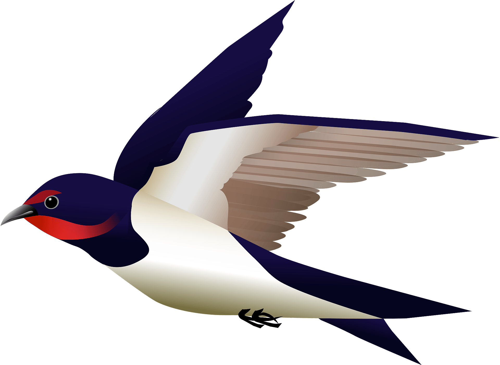 Swallow Free PNG Clip Art