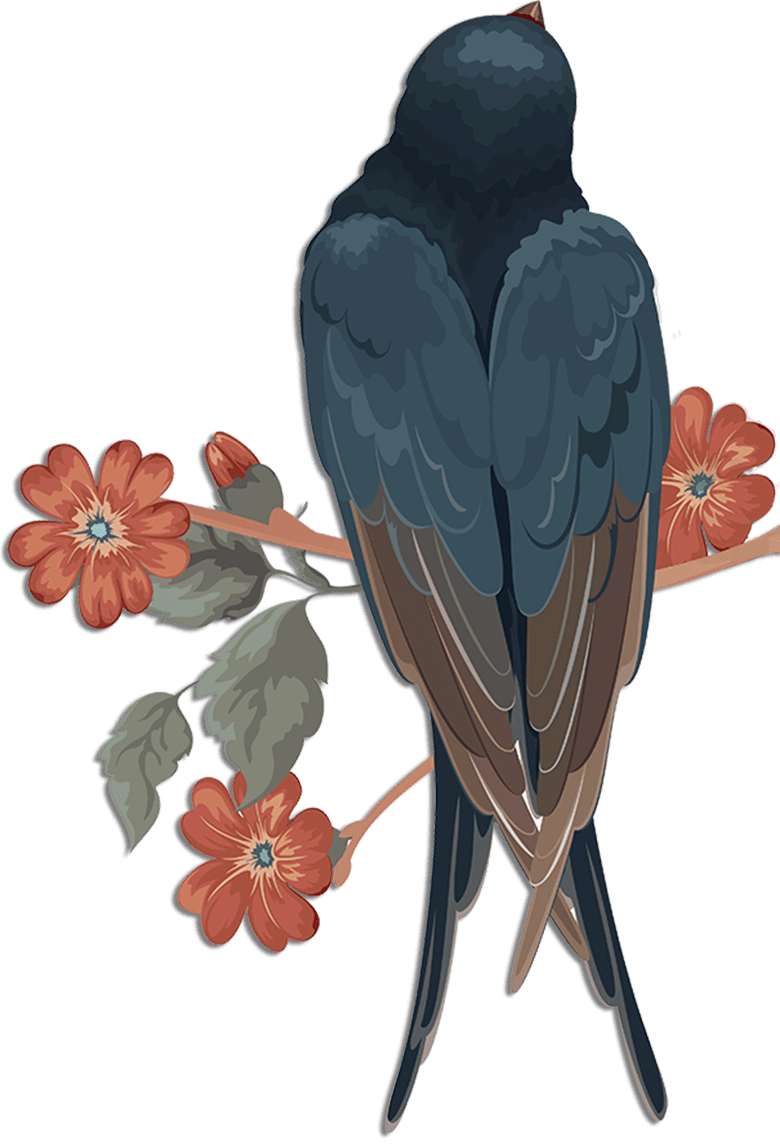 Swallow Free PNG