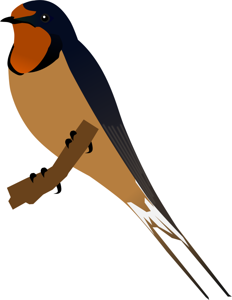 Swallow PNG Pic Clip Art Background