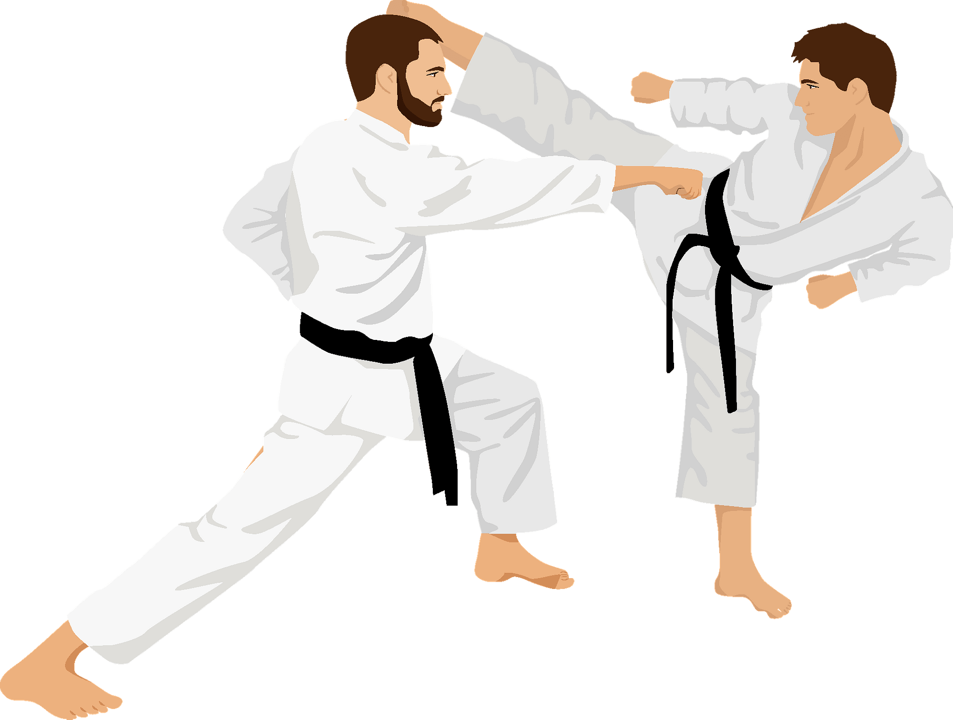Taekwondo Clip Art Transparent PNG