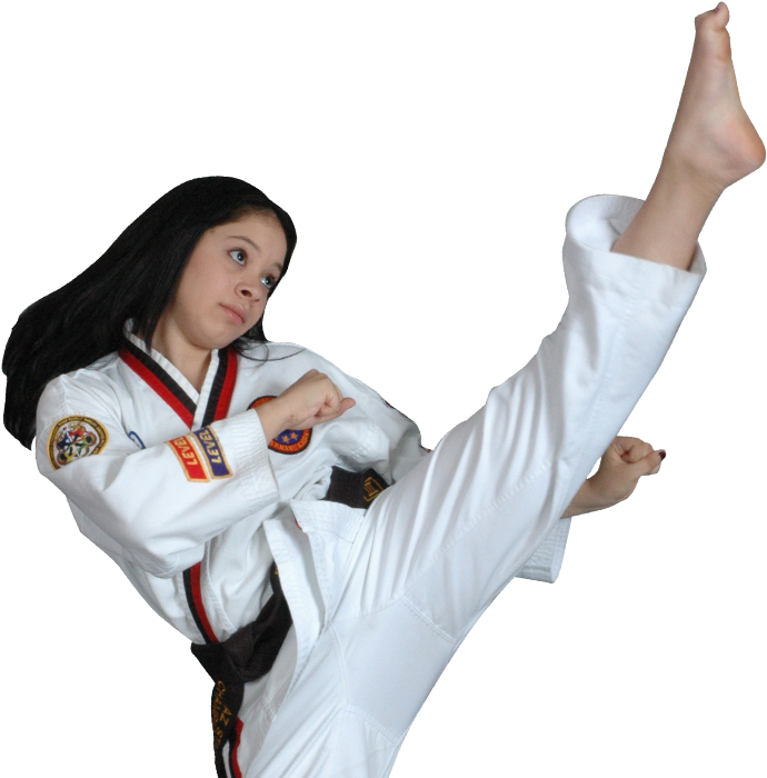 Taekwondo No Background Clip Art