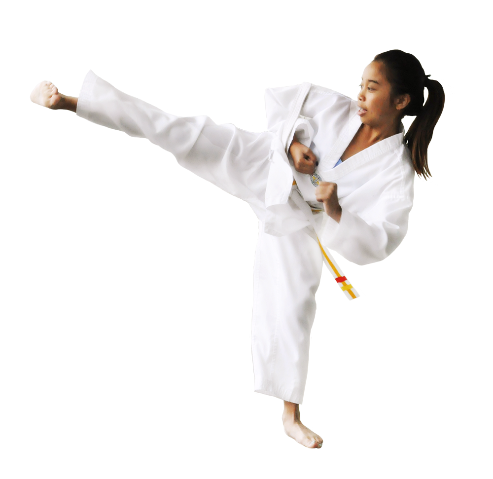 Taekwondo PNG Photo Clip Art Image