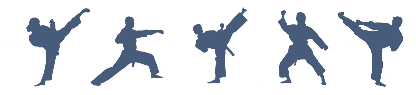 Taekwondo Transparent Free PNG Clip Art