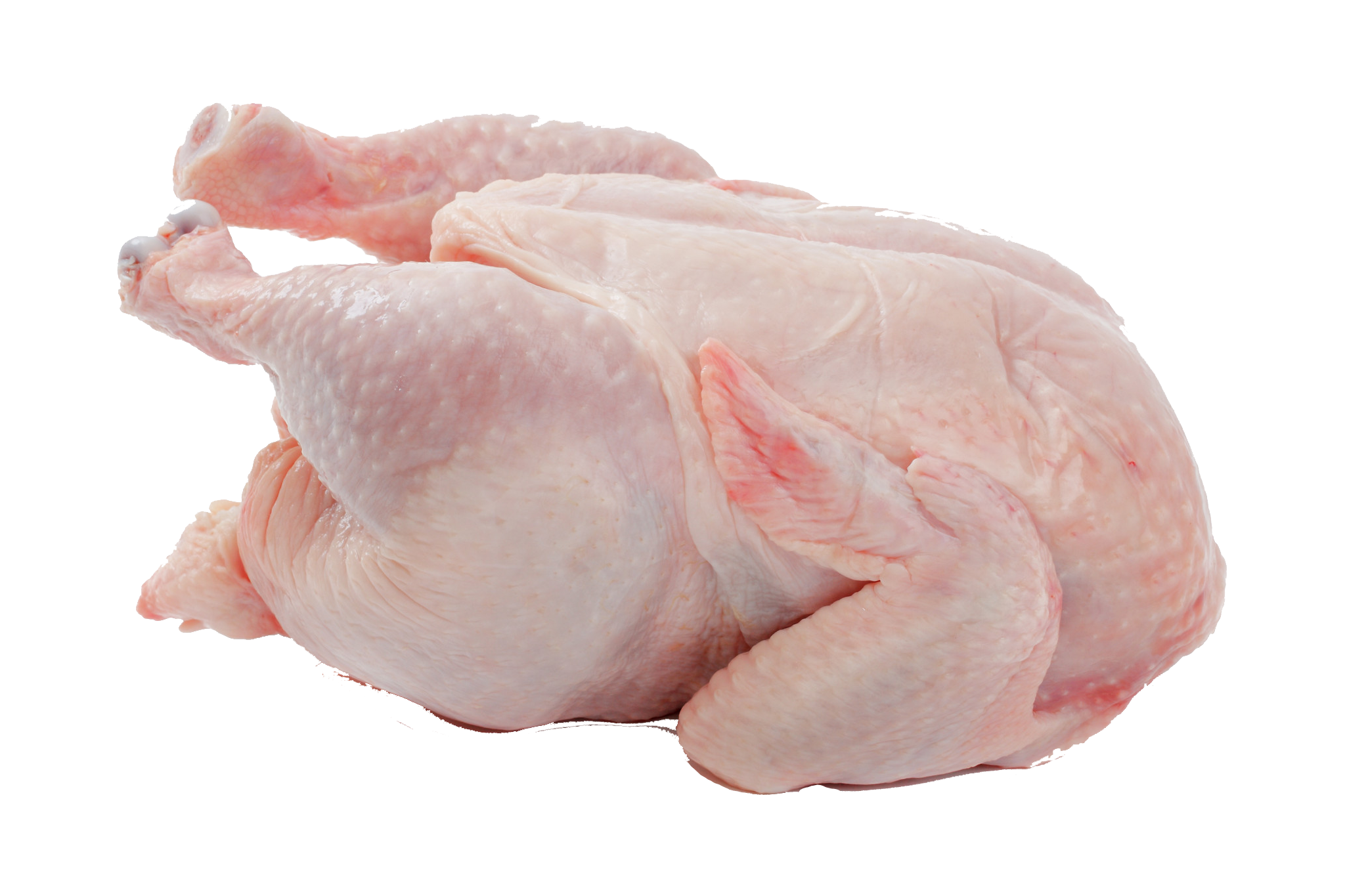 Thanksgiving Turkey Meat Background PNG