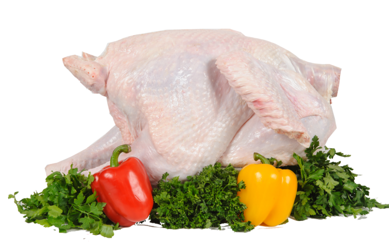 Thanksgiving Turkey Meat No Background