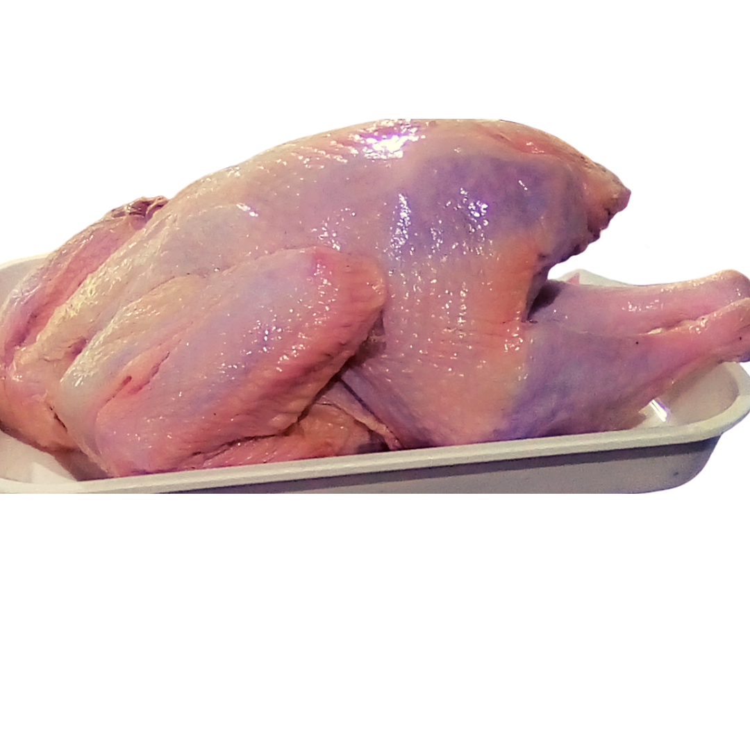 Thanksgiving Turkey Meat PNG Photos