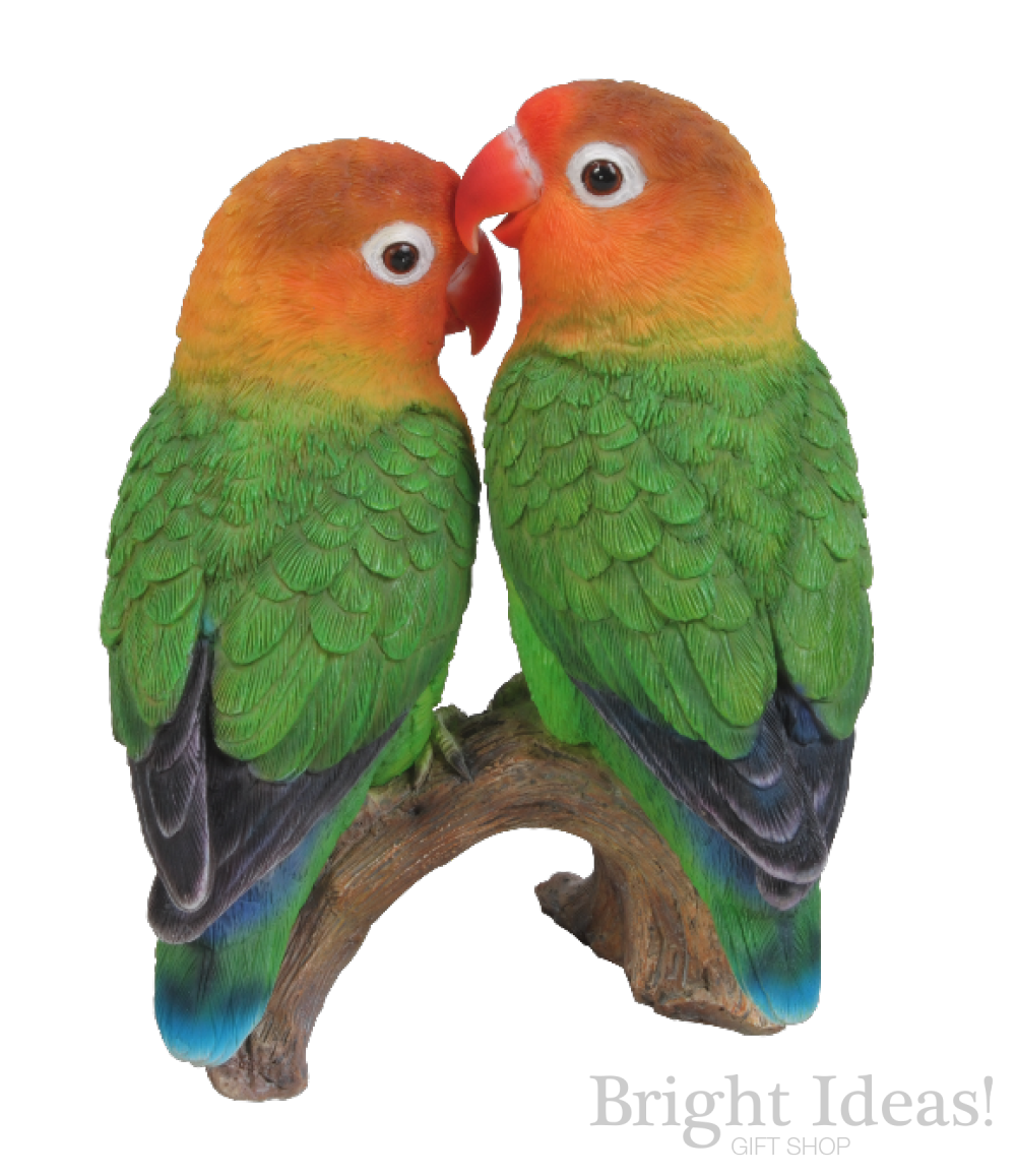 The Lovebirds Background PNG
