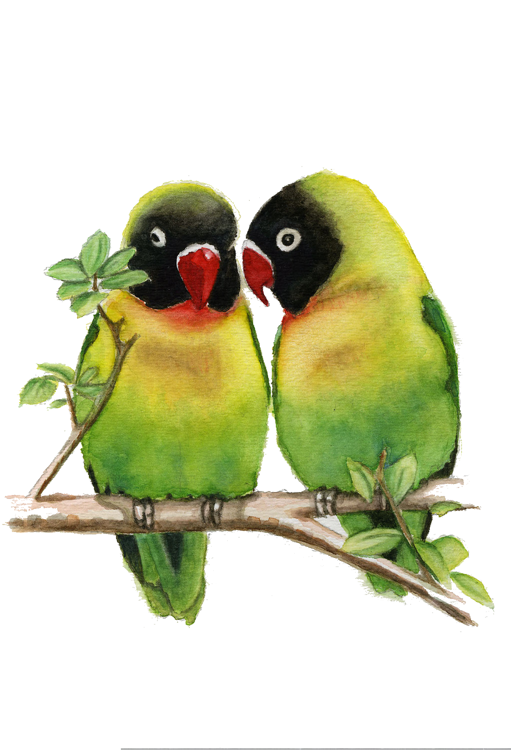 The Lovebirds Download Free PNG