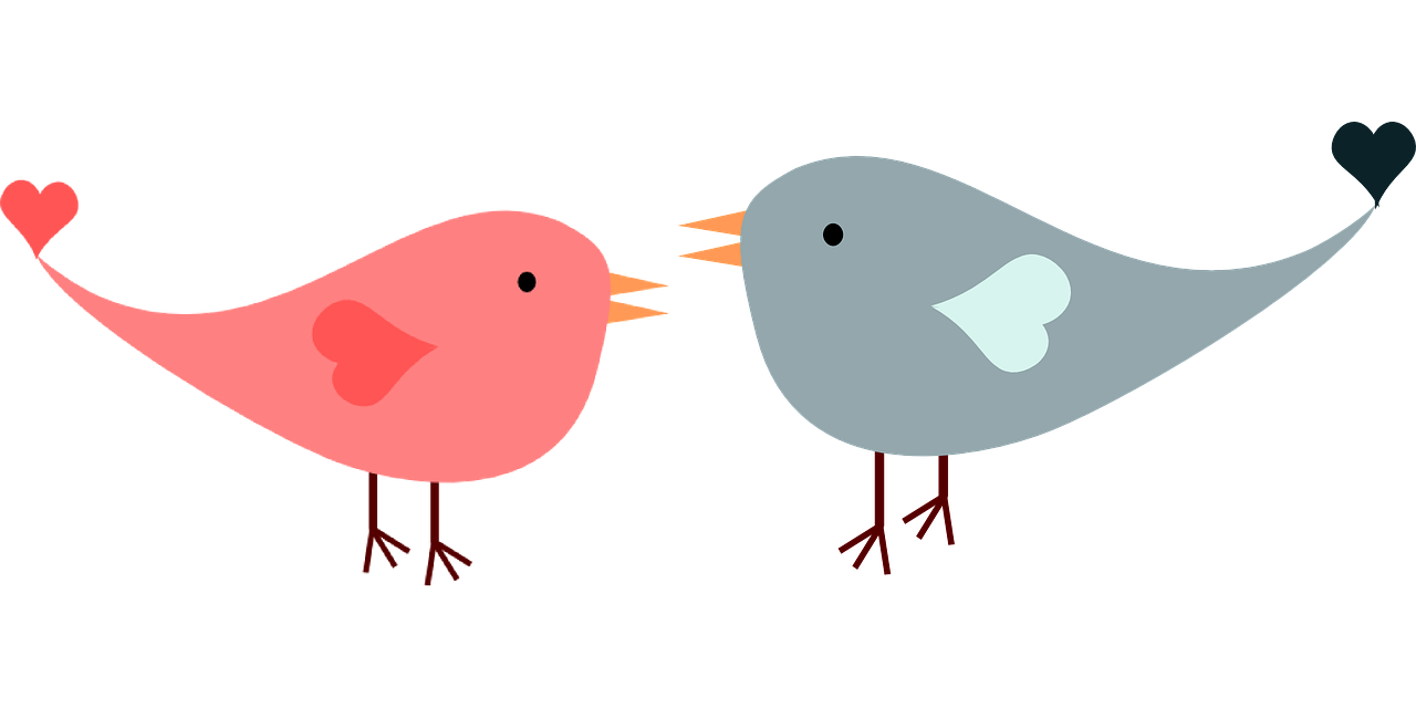 The Lovebirds PNG Background