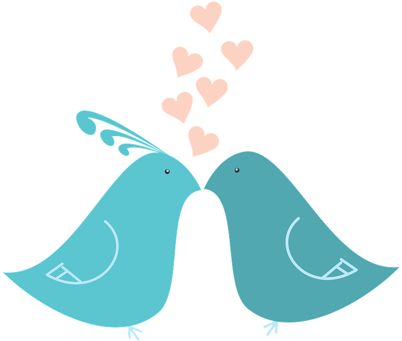 The Lovebirds PNG Images HD