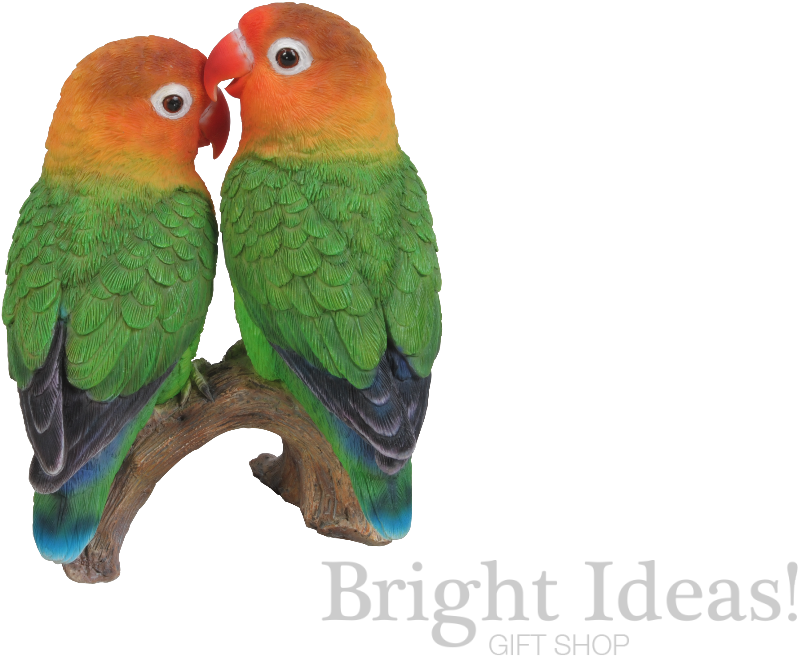 The Lovebirds Transparent Background