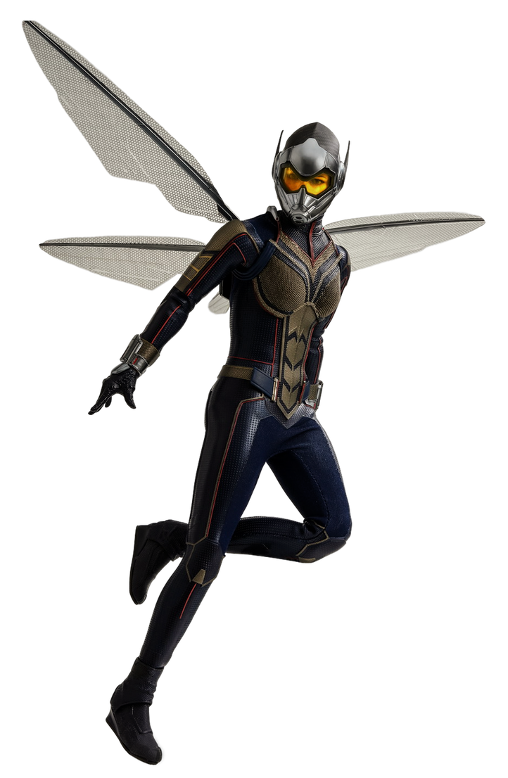 The Wasp PNG Background
