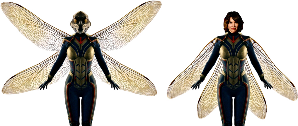 The Wasp Transparent Background