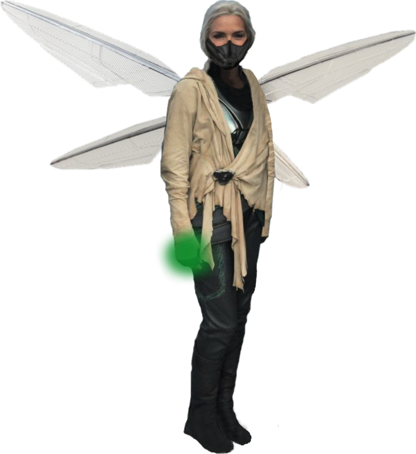 The Wasp Transparent Image