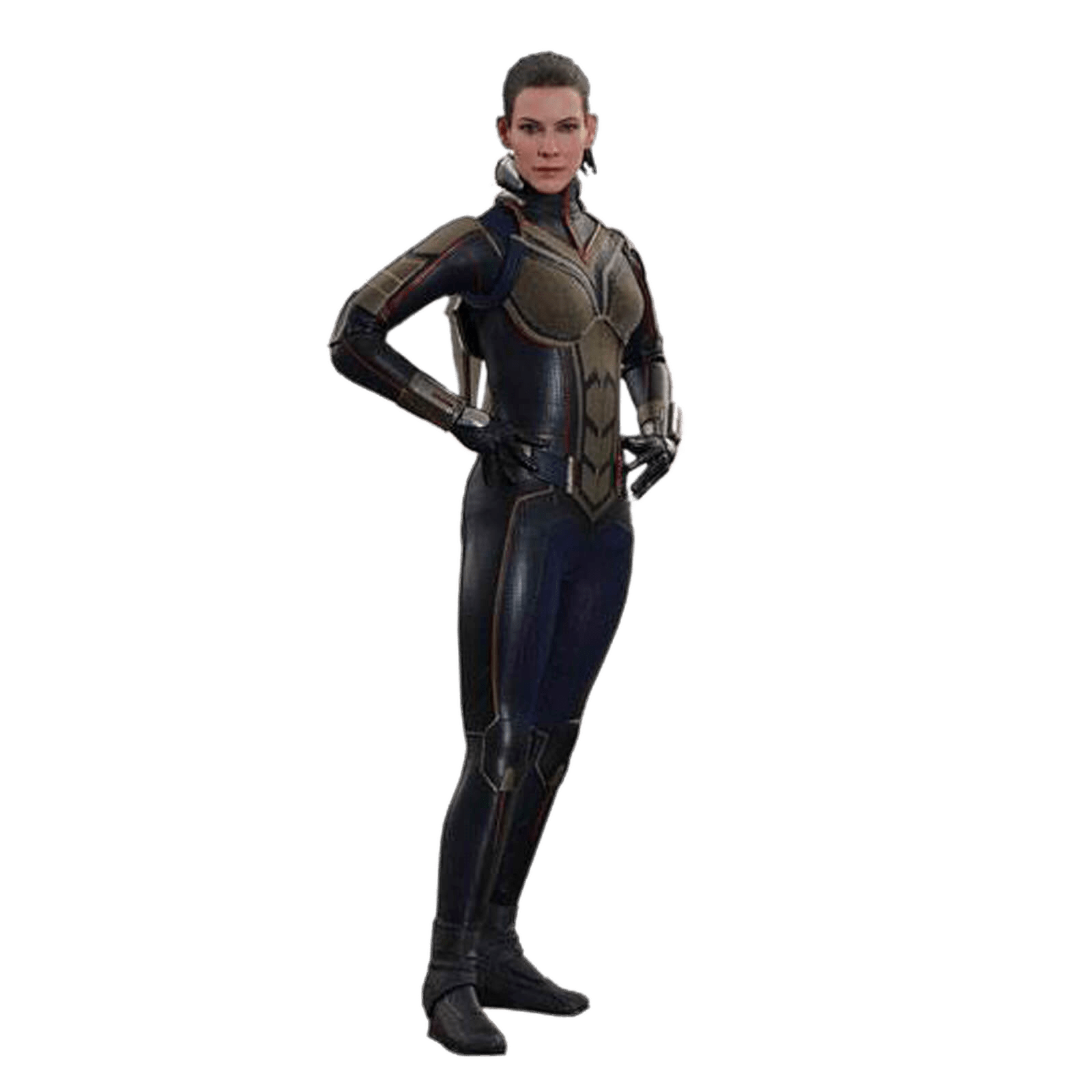 The Wasp Transparent Images