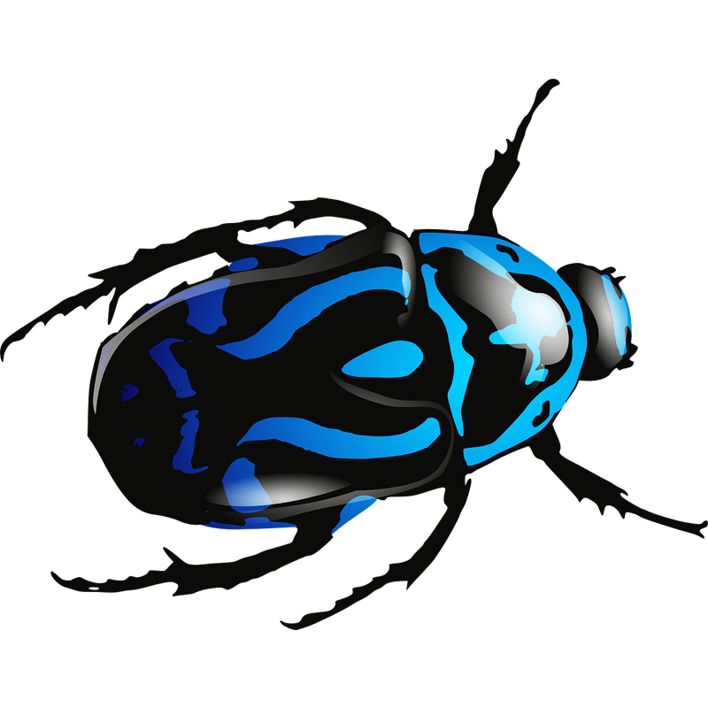 Tick Insect Free PNG Clip Art