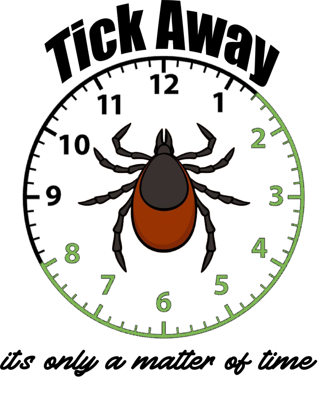 Tick Insect PNG Clipart Background HD