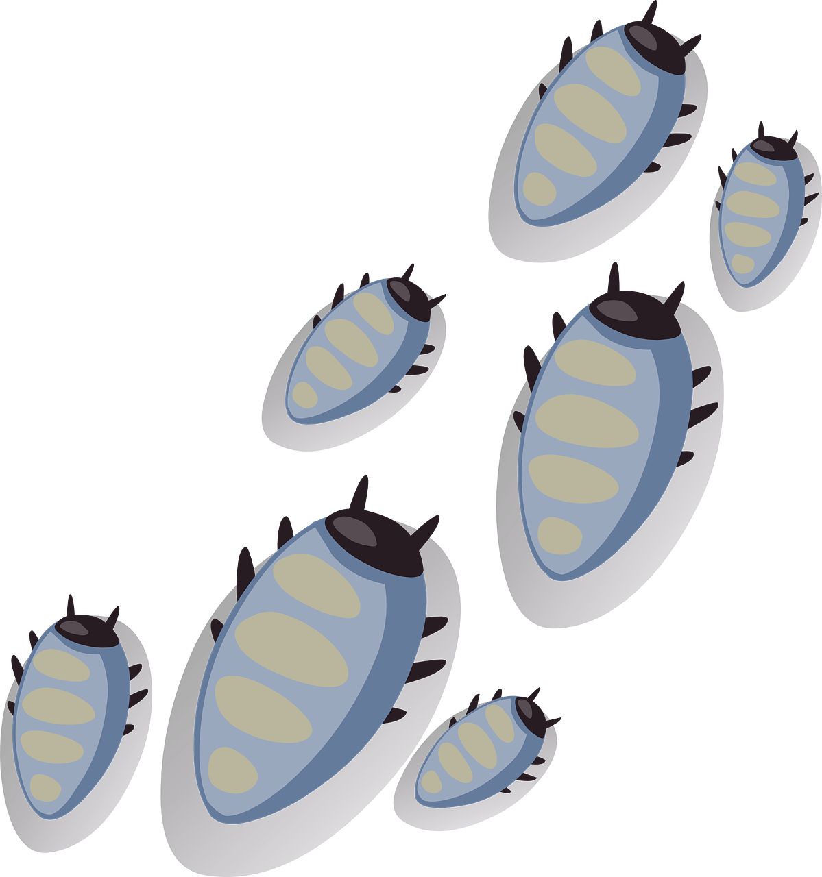 Tick Insect PNG Pic Background