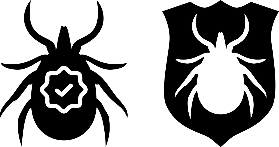 Tick Insect Transparent Free PNG Clip Art