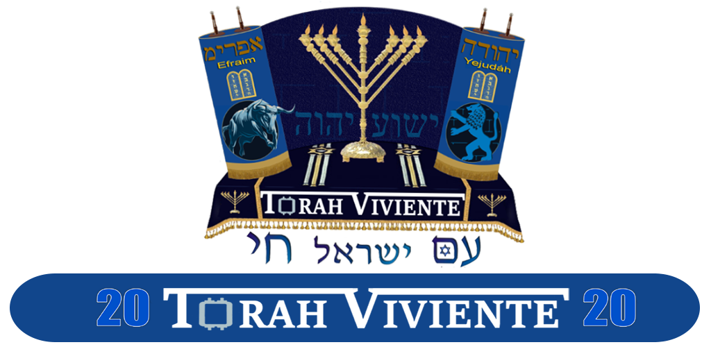 Torah Transparent Clip Art PNG