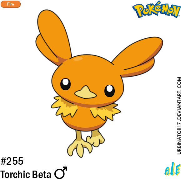 Torchic Pokemon PNG Clipart Background