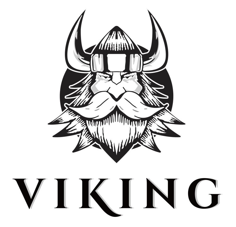 Viking PNG Free File Download
