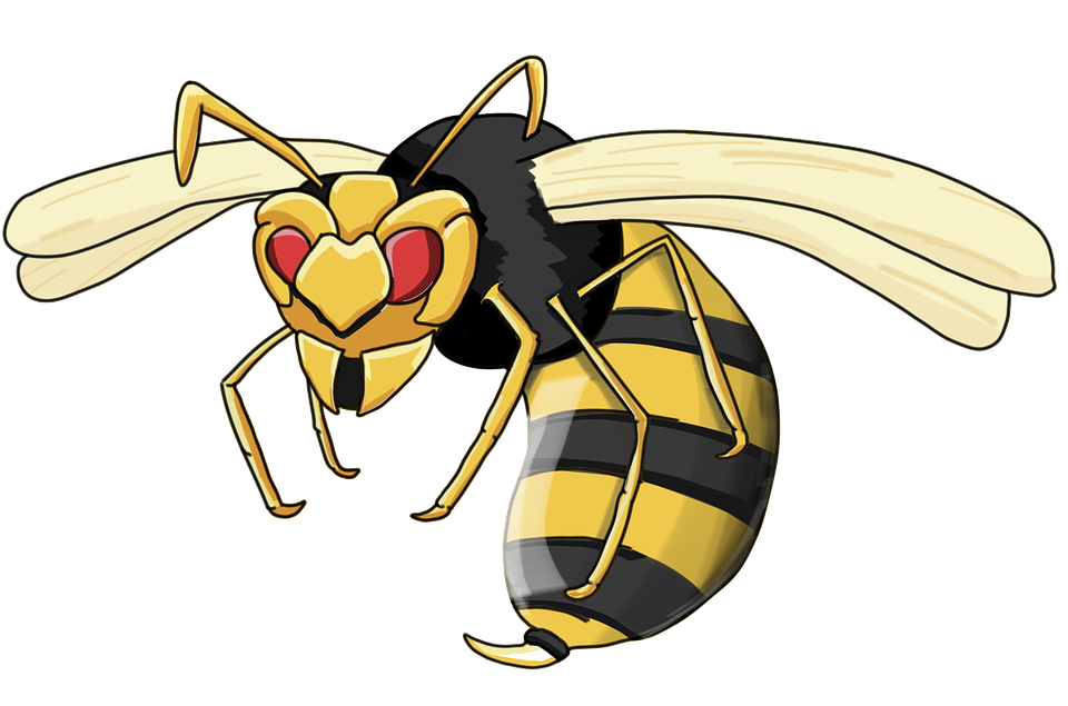 Wasp Insect Transparent Images Clip Art