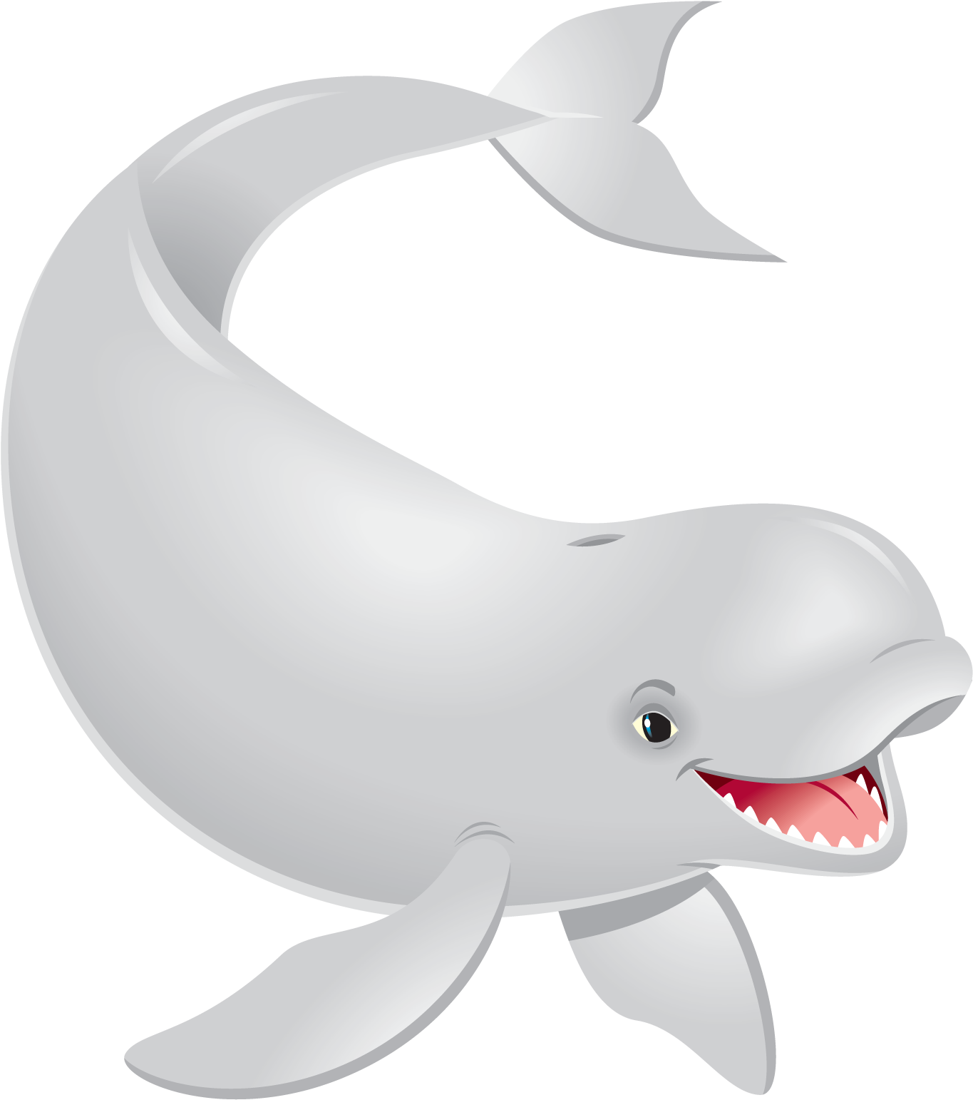Whale PNG Images HD