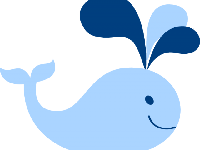 Whale PNG Photos