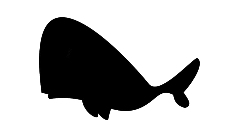 Whale PNG Pic Background