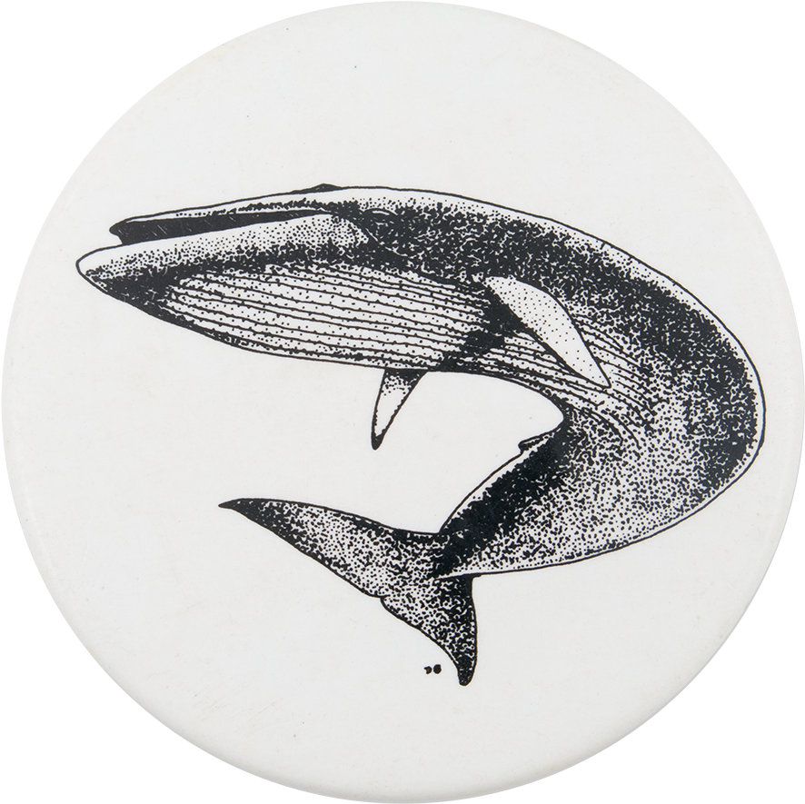 Whale Transparent Clip Art Image