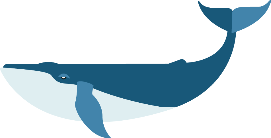 Whale Transparent Images