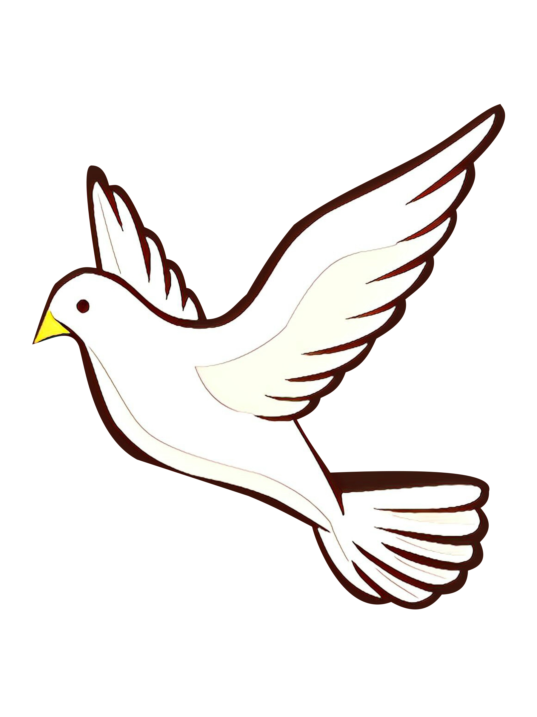 White Pigeon Transparent Image