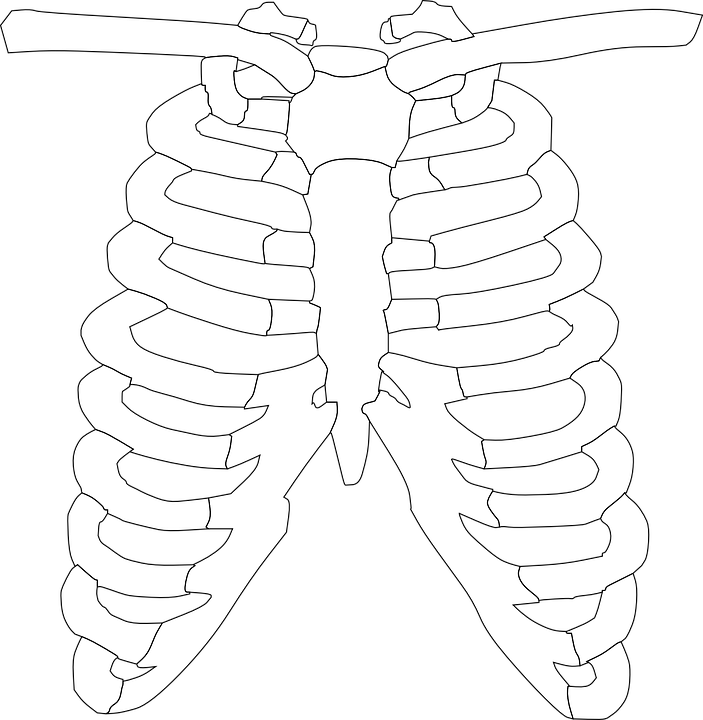 X-Ray PNG Photo Image