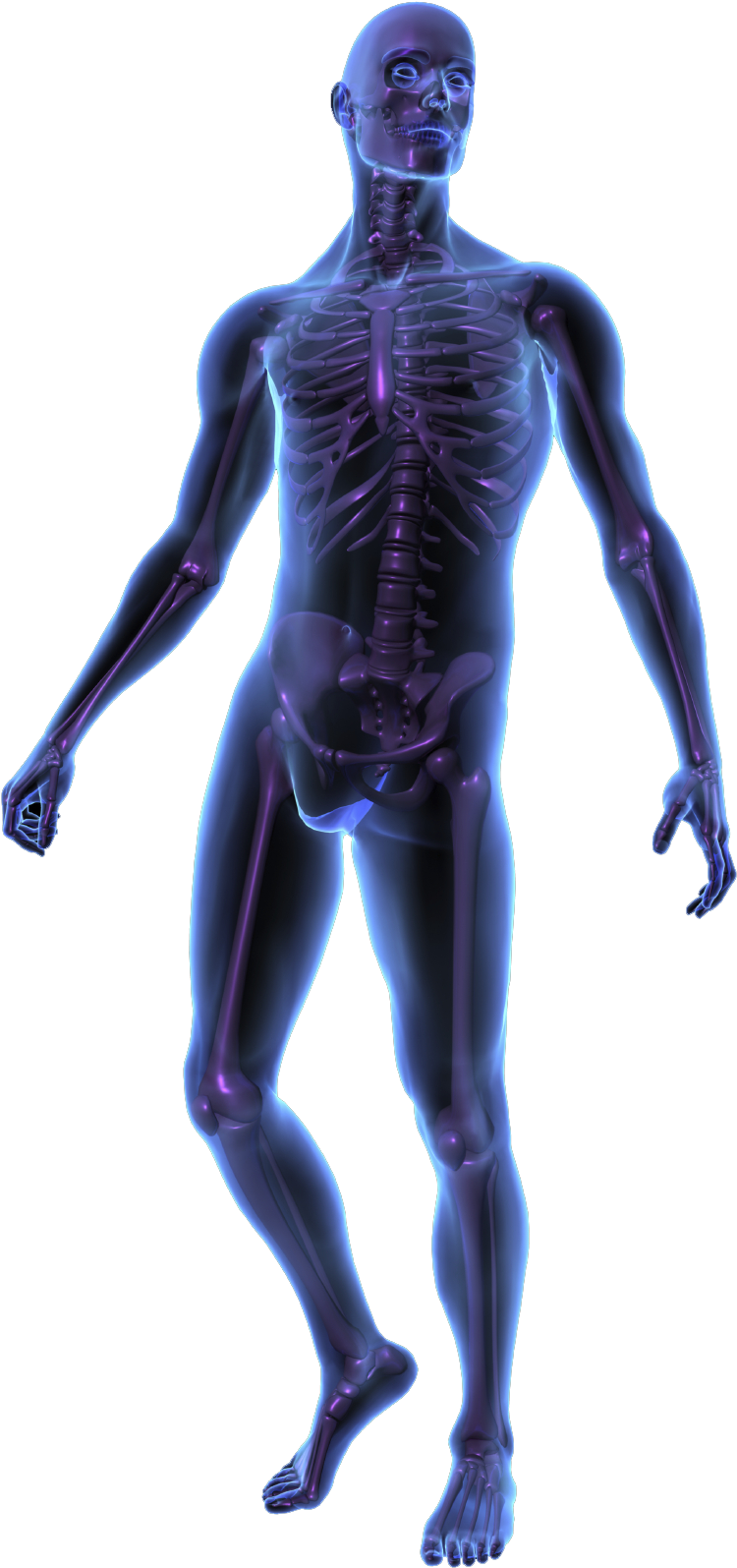 X-Ray Transparent File