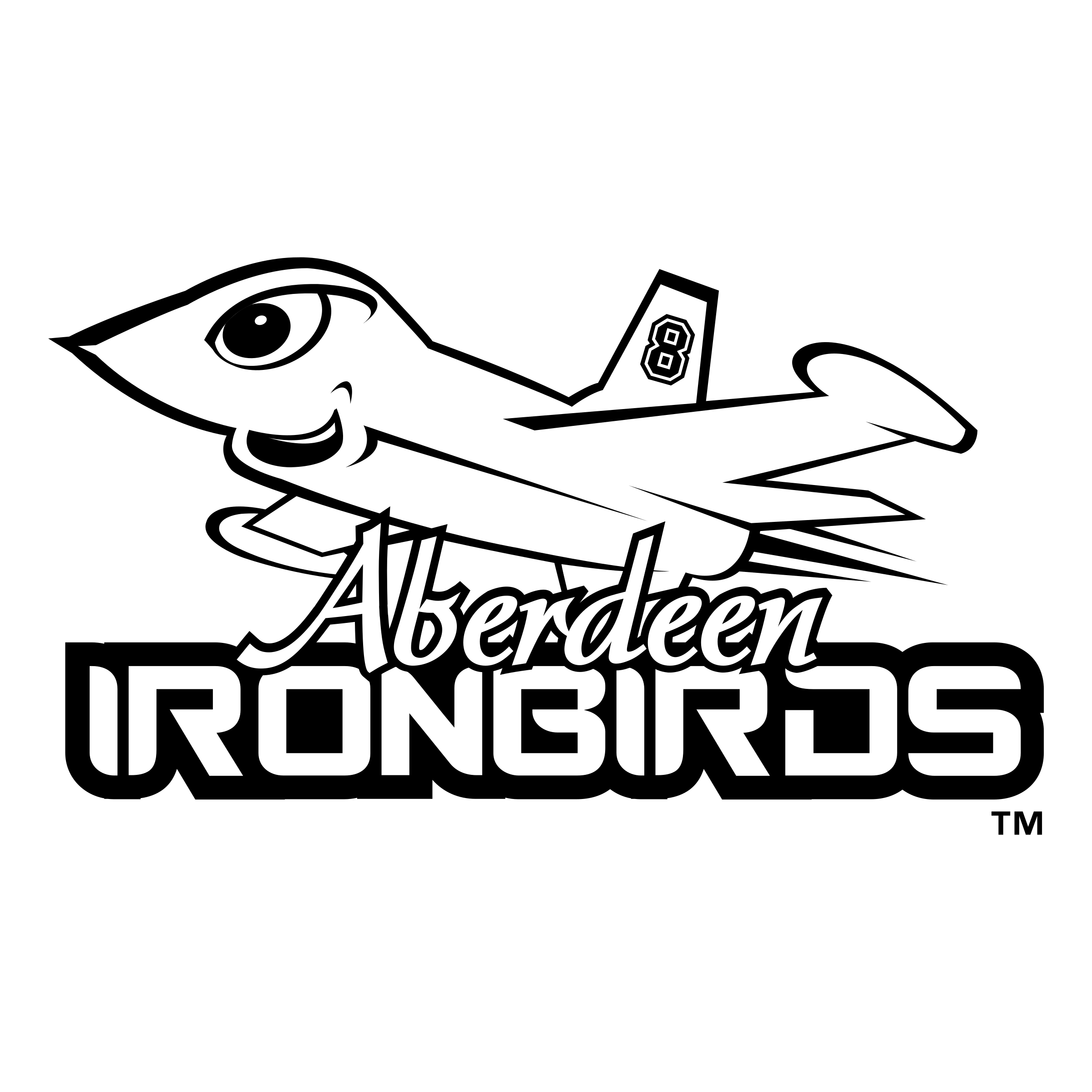Aberdeen IronBirds Background PNG Image