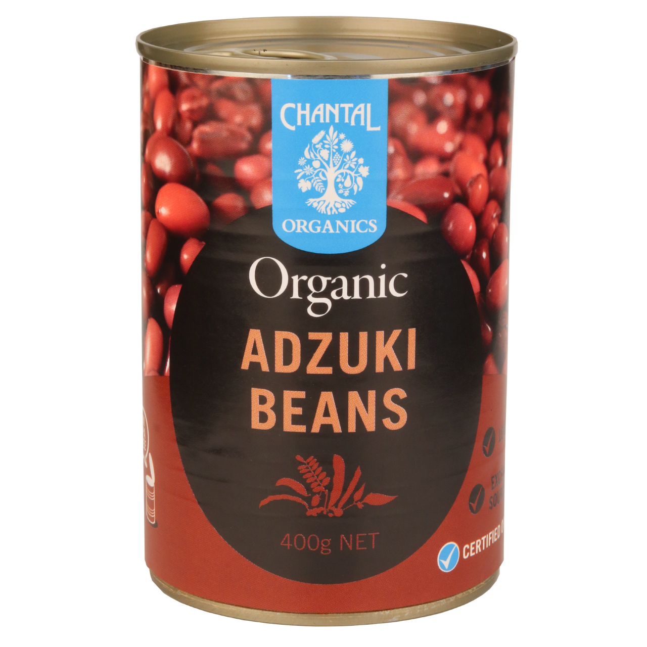 Adzuki Beans PNG Photos