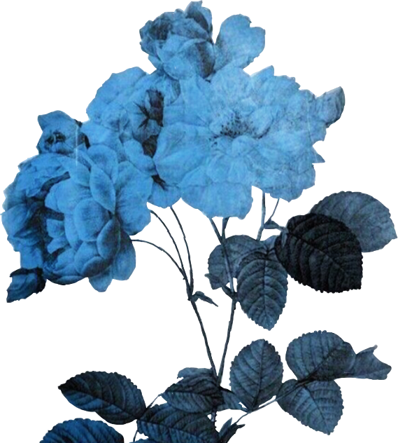 Aesthetic Blue Transparent PNG
