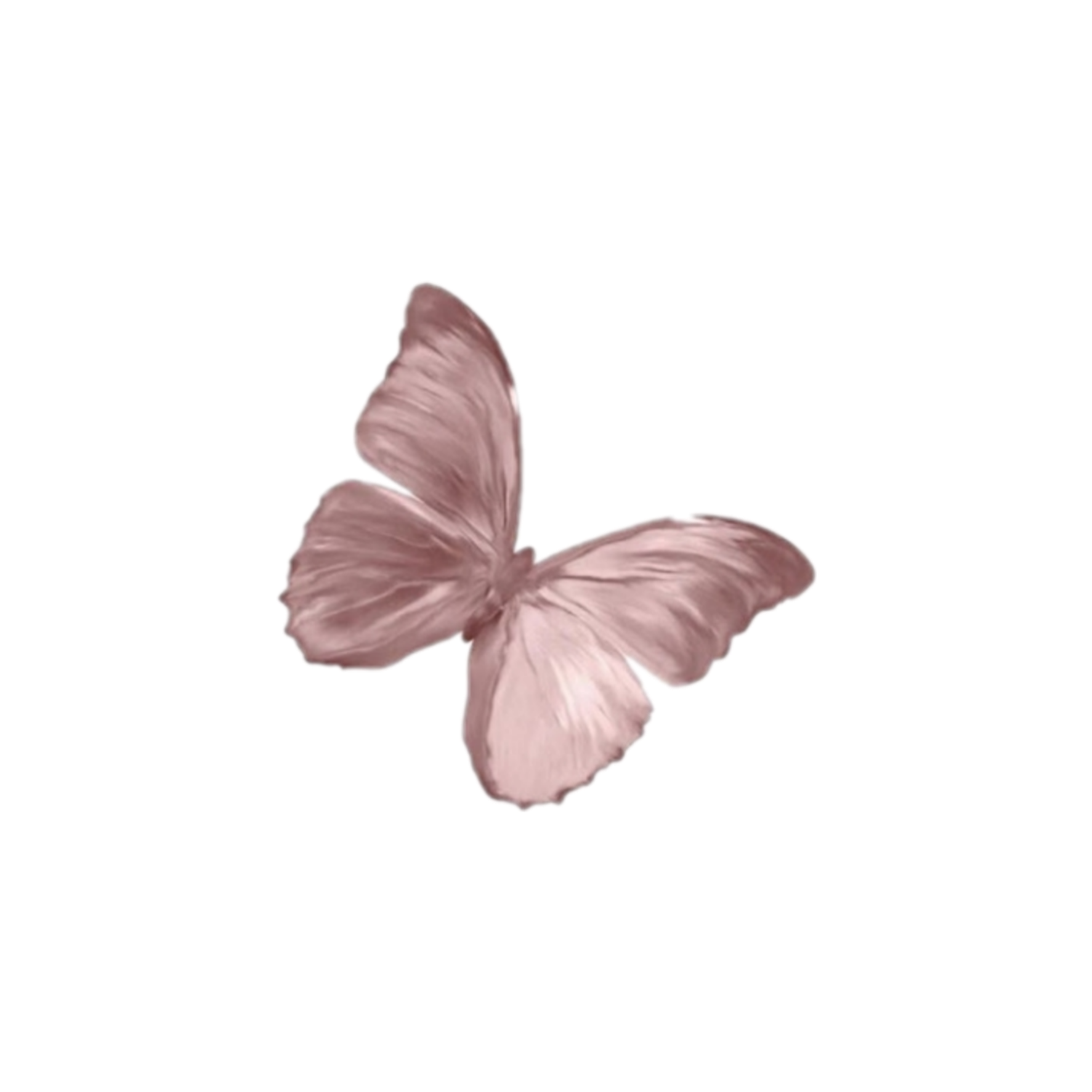 Aesthetic Butterfly Background PNG Image