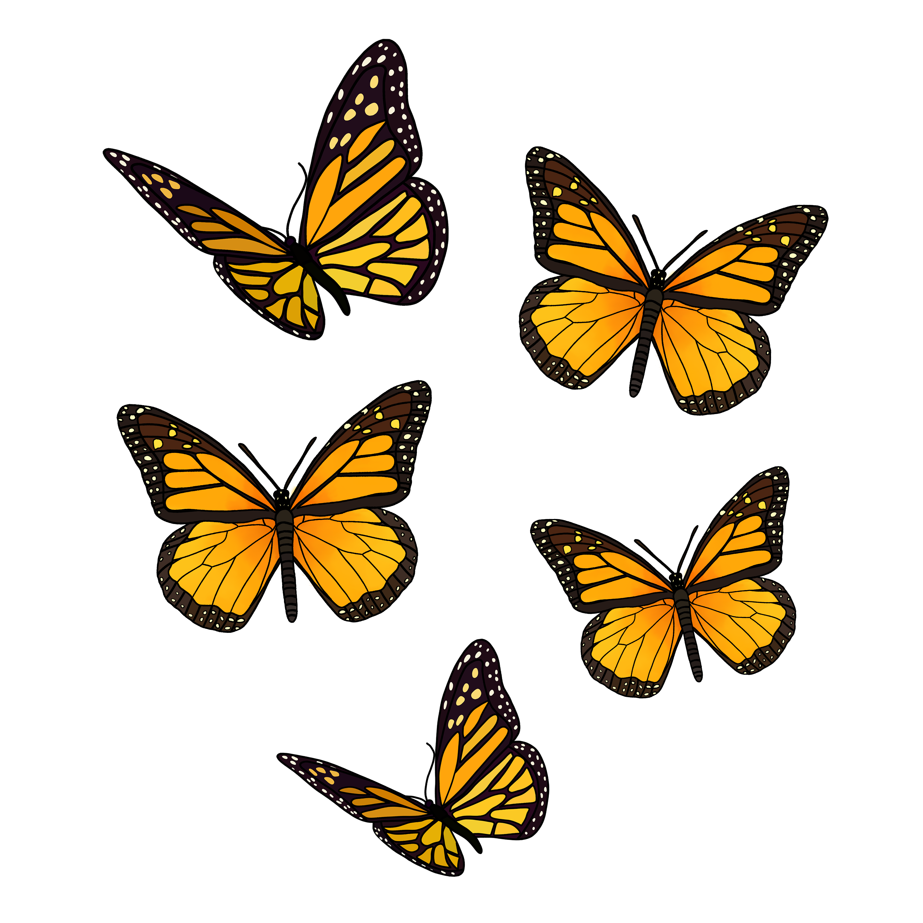 Aesthetic Butterfly Download Free PNG