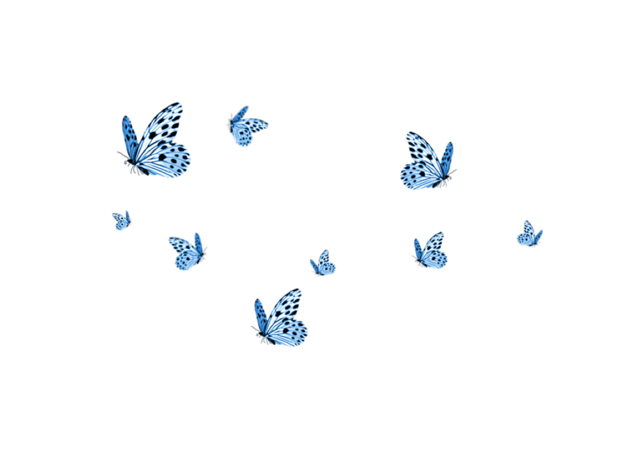Aesthetic Butterfly Transparent Free PNG