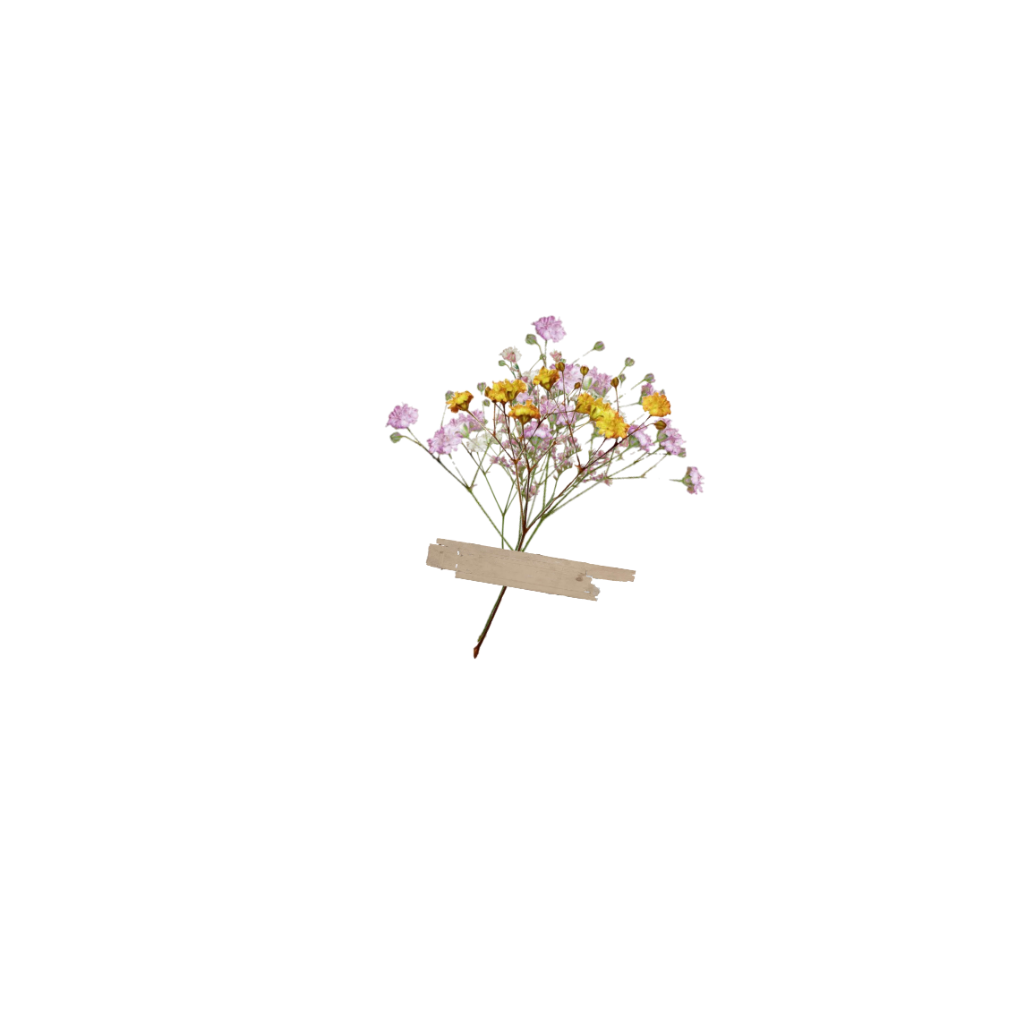 Aesthetic Flower Free PNG