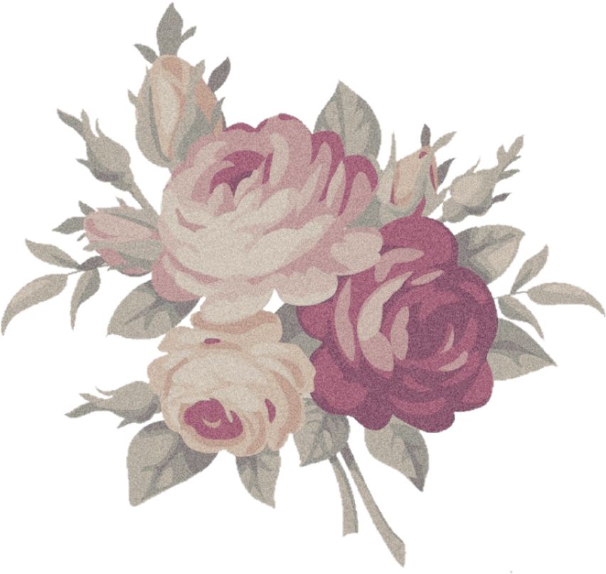 Aesthetic Flower PNG HD Quality