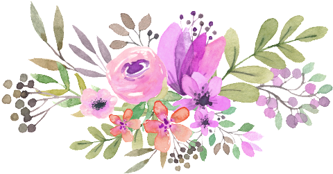 Aesthetic Flower Transparent Background