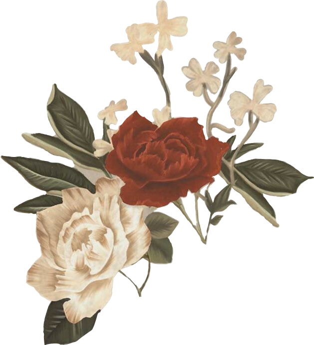 Aesthetic Flower PNG Images Transparent Background | PNG Play