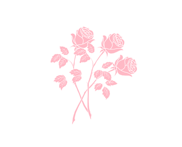 Aesthetic Rose No Background