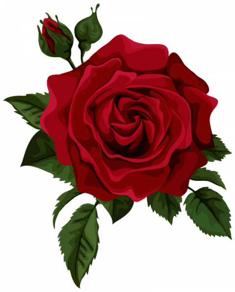 Aesthetic Rose PNG Clipart Background