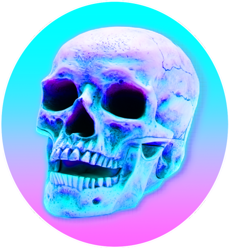 Aesthetic Skull Free PNG
