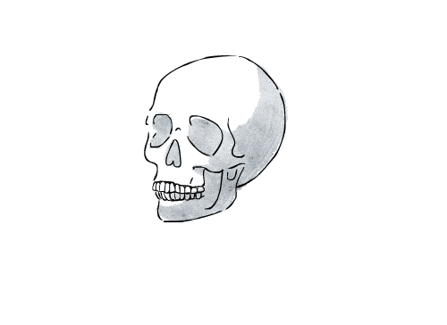 Aesthetic Skull No Background