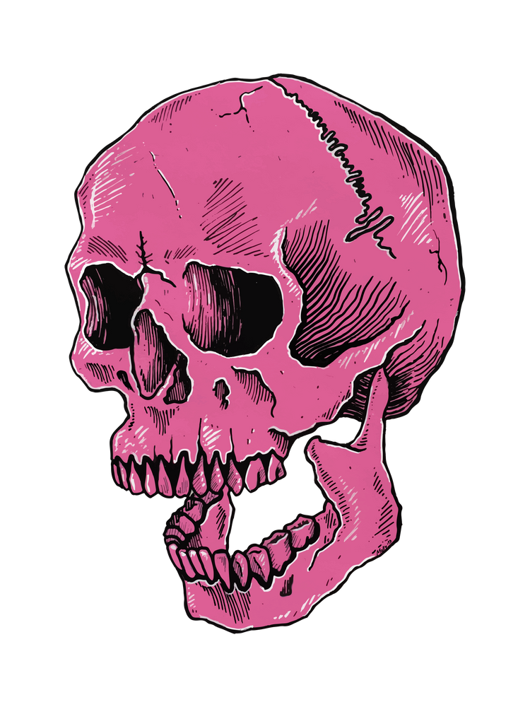 Aesthetic Skull PNG Photo Image